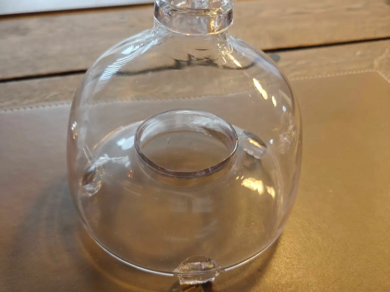 Billede 1 - Fluefanger, holmegaard