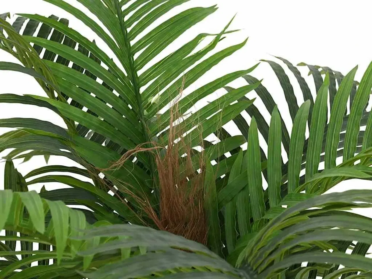 Billede 2 - Kunstig palme 15 blade 200 cm grøn