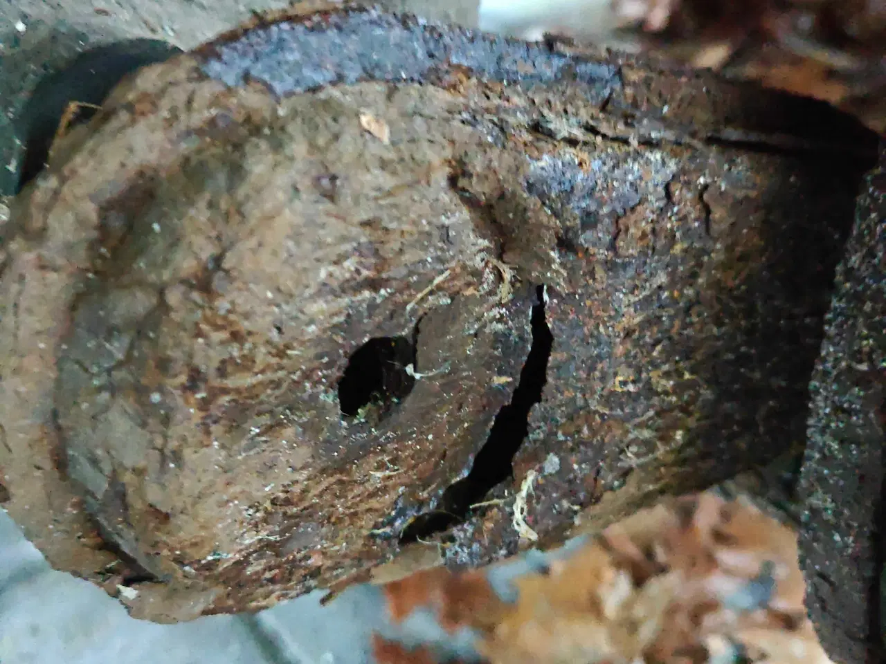 Billede 10 - Brenderup trailer 