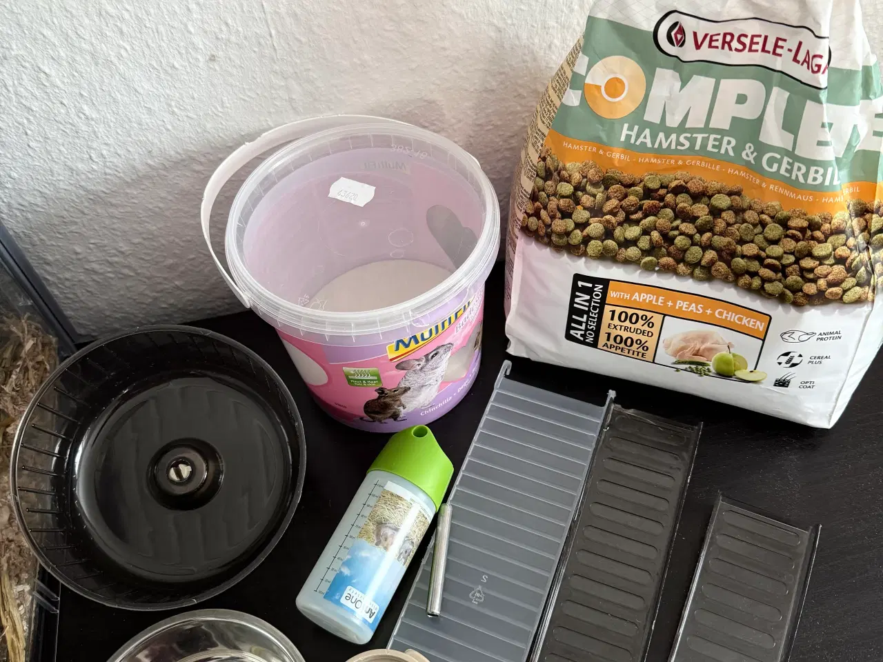 Billede 7 - 2 søde ørkenrotte-hanner søger nyt hjem 🐭✨
