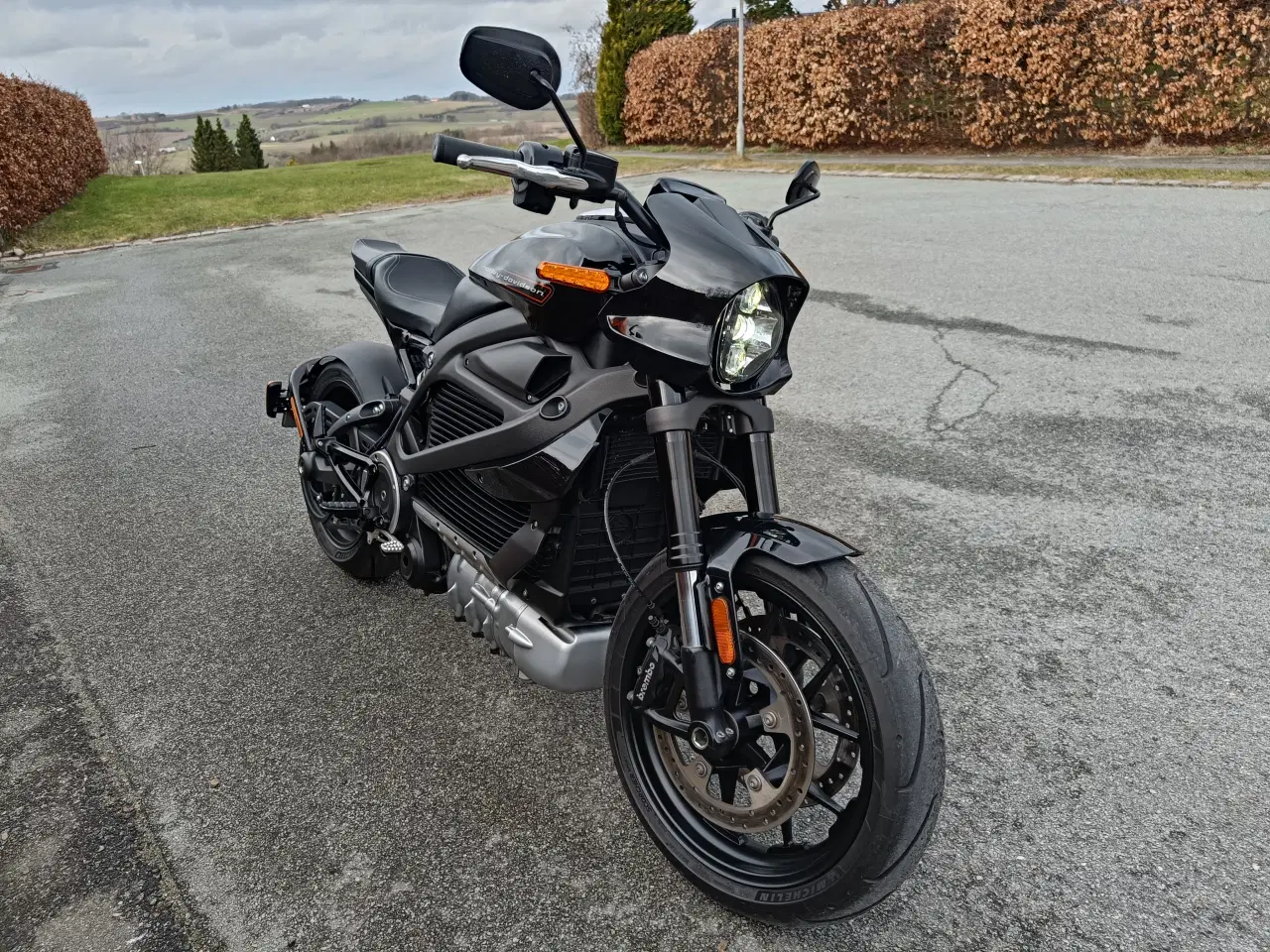 Billede 2 - Harley Davidson 