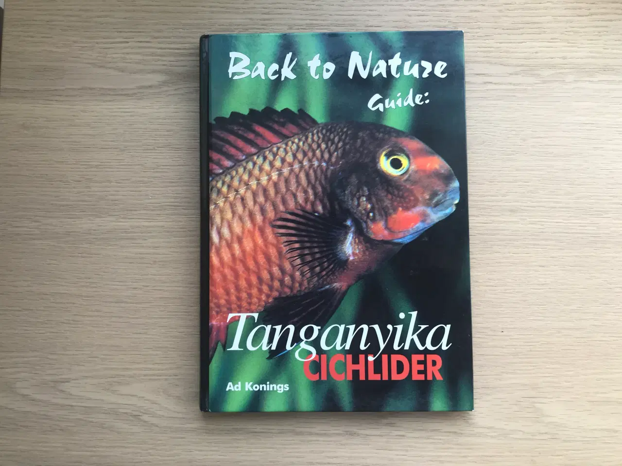 Billede 1 - Tanganyika Cichlider  -  Back to Nature Guide