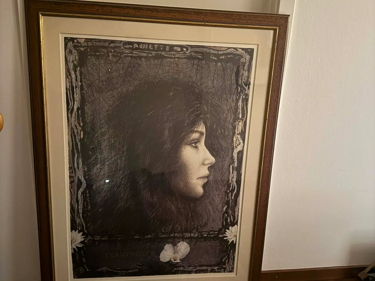 Billede 1 - Trampedach plakat i ramme