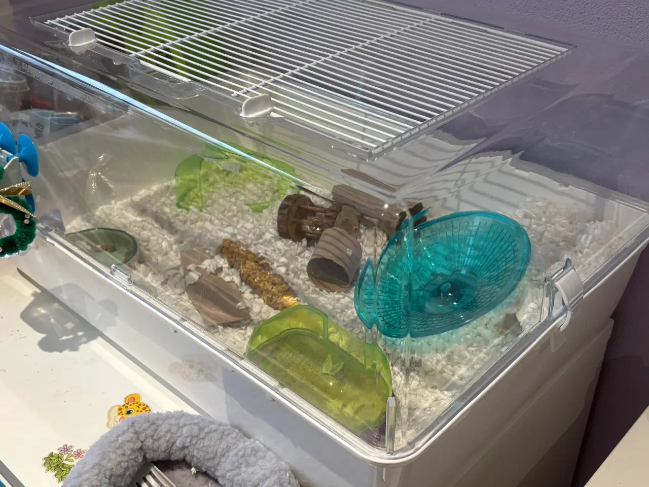 Billede 4 - Dværghamster. Omkring 26 uger