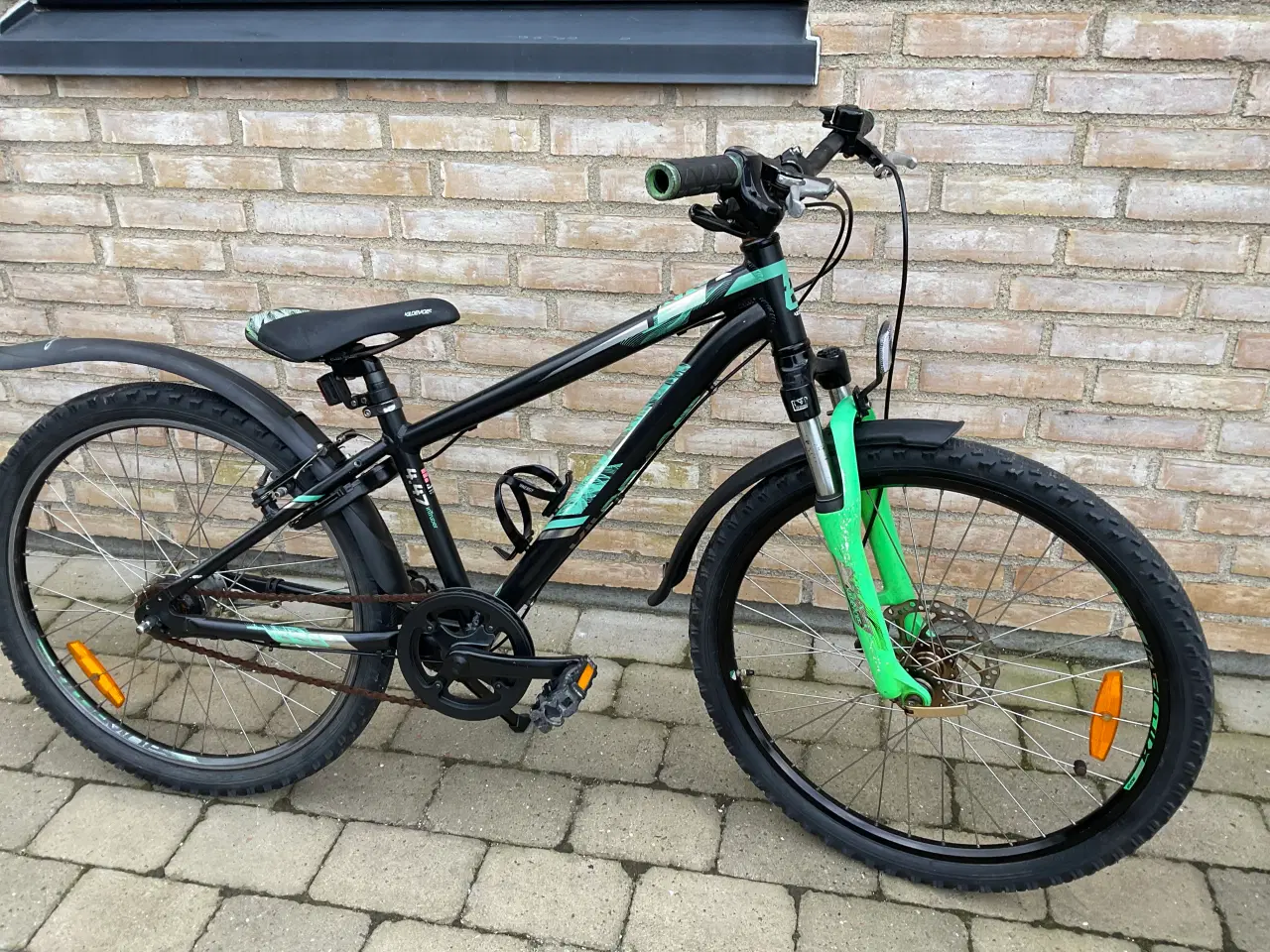 Billede 2 - 24” kildemose intruder 