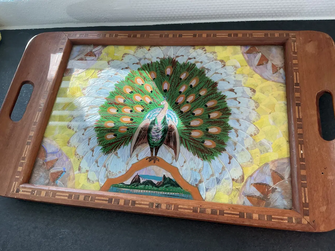 Billede 8 - Sommerfuglebakke