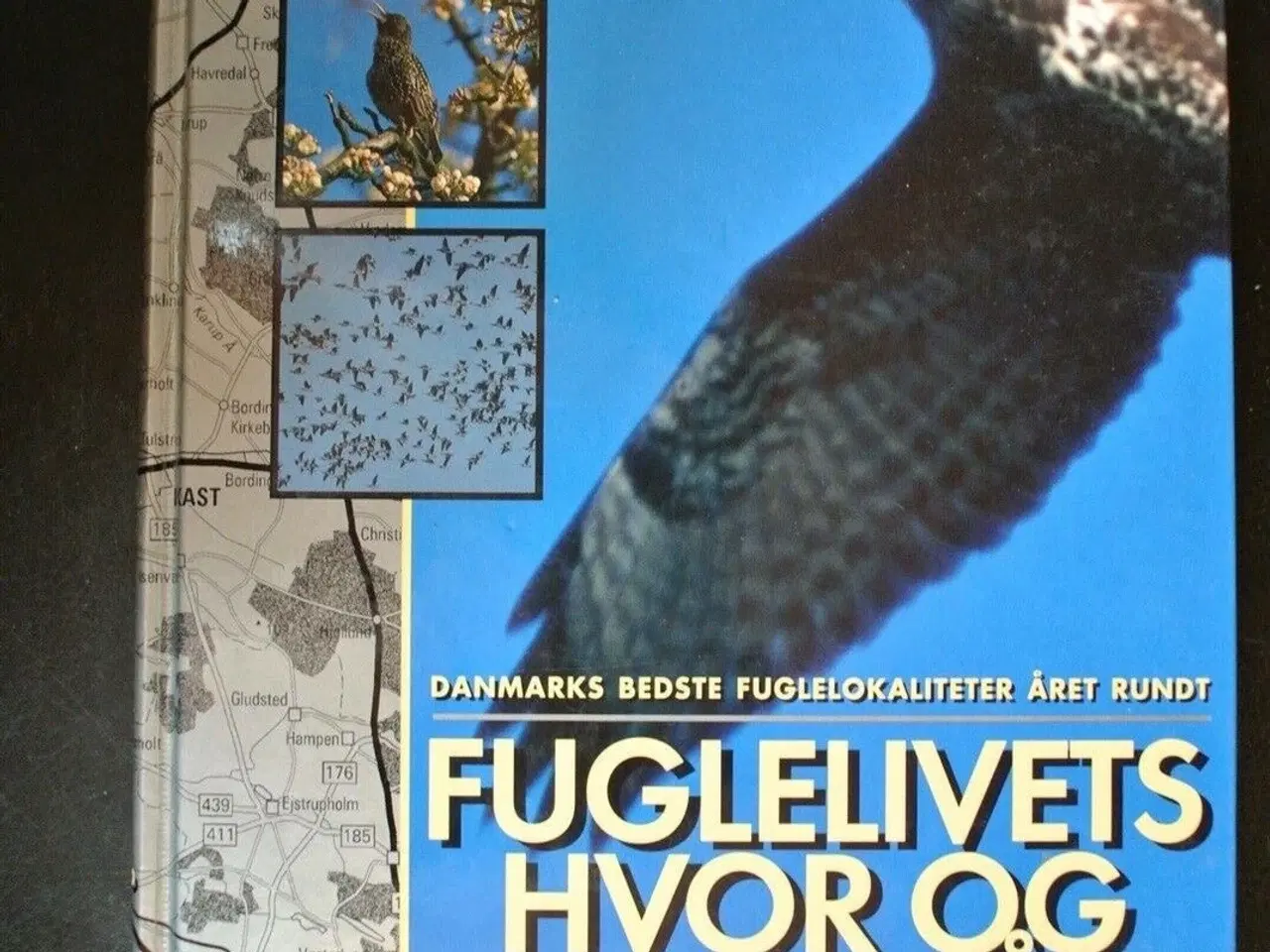 Billede 1 - fuglelivets hvor og hvornår, af tommy dybbro og sø