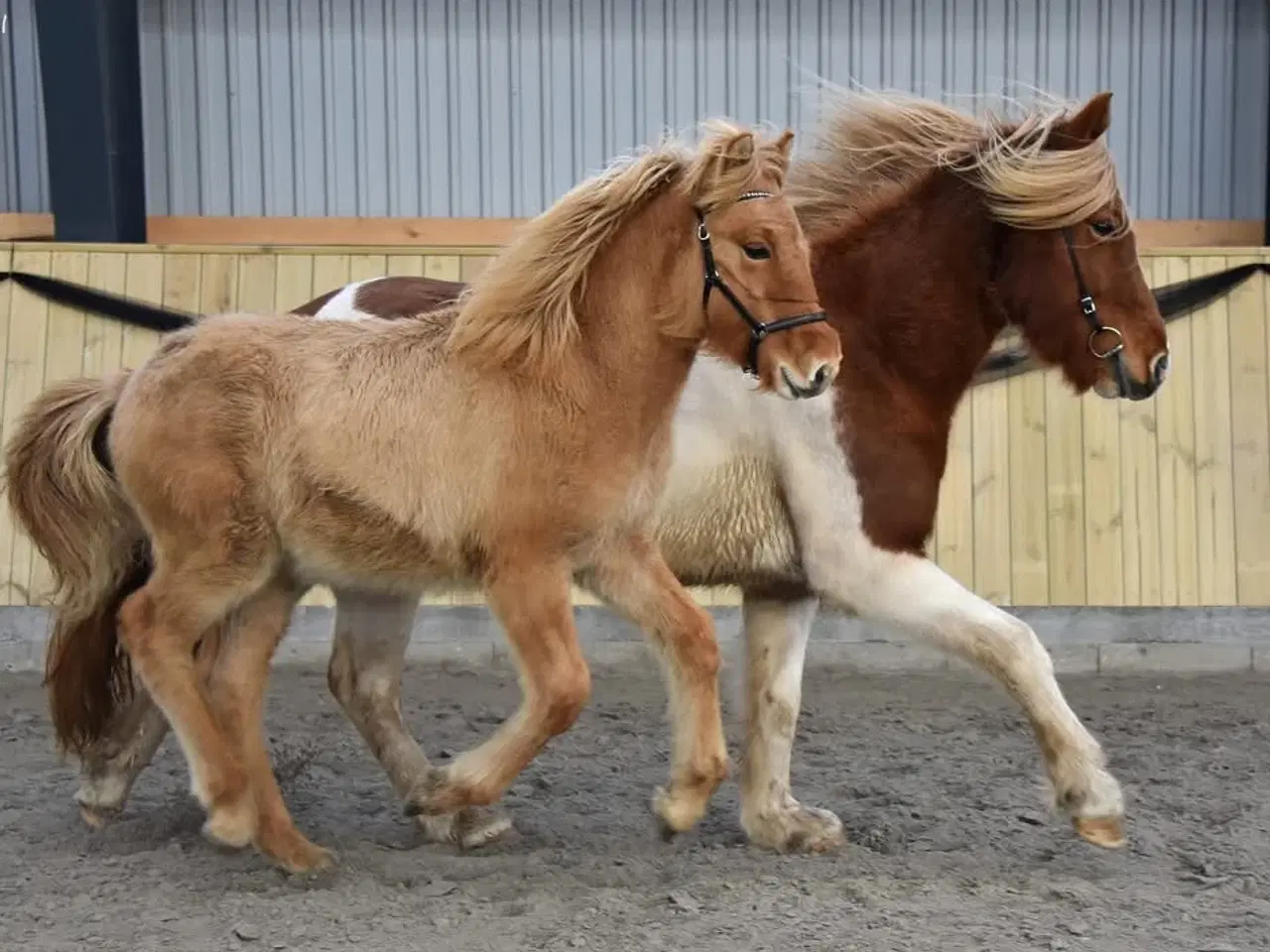 Billede 2 - Juletilbud 