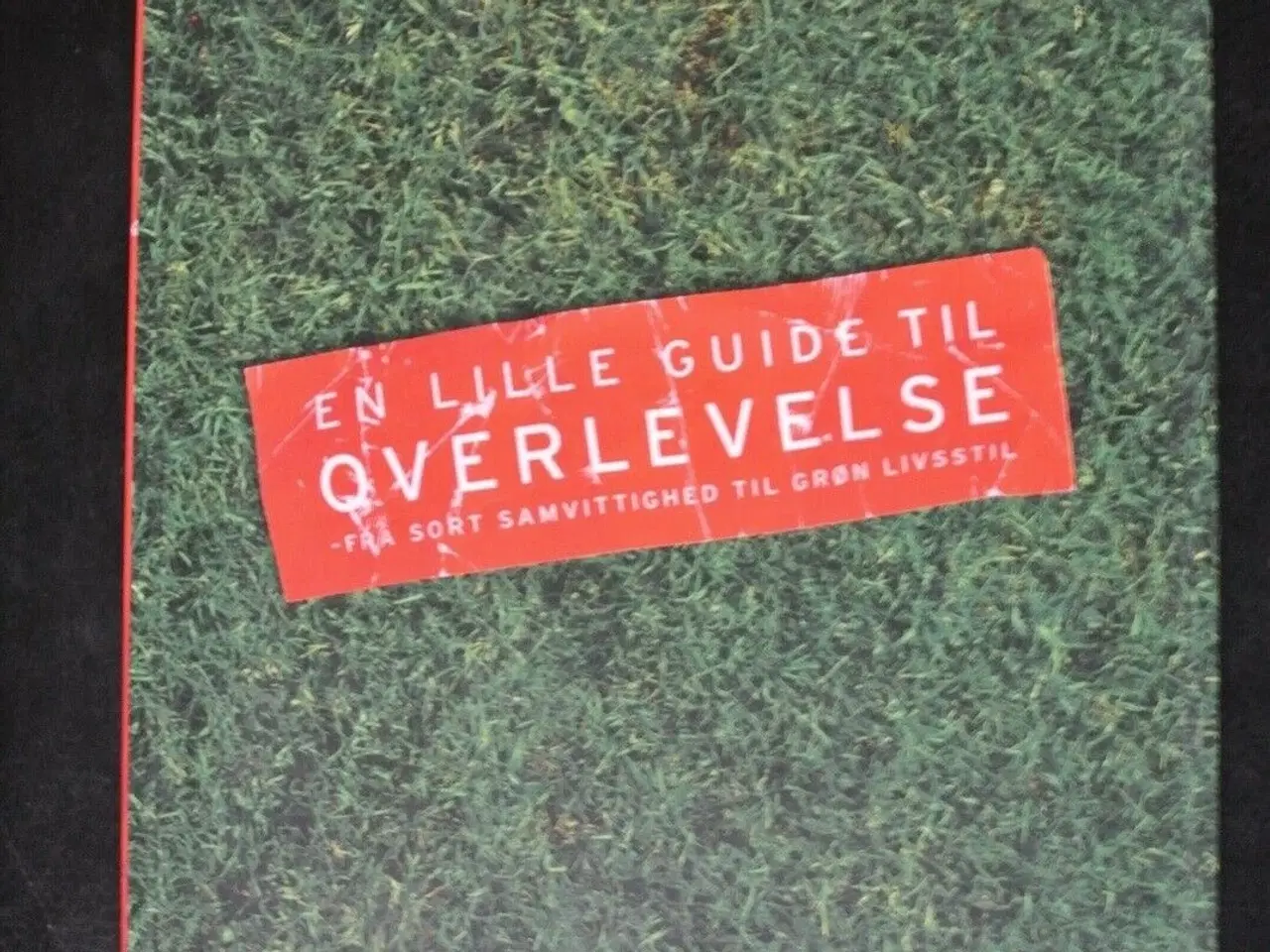 Billede 3 - en lille fortælling om overlevelse og en lille , a