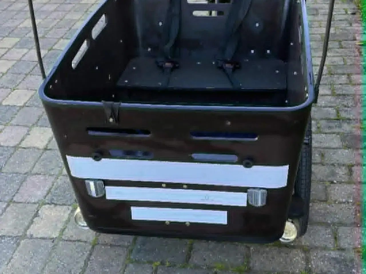 Billede 2 - SMUK EL SCO