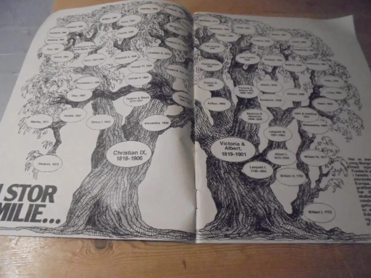 Billede 2 - De arver Europas troner  Tillæg til Billed Bladet 