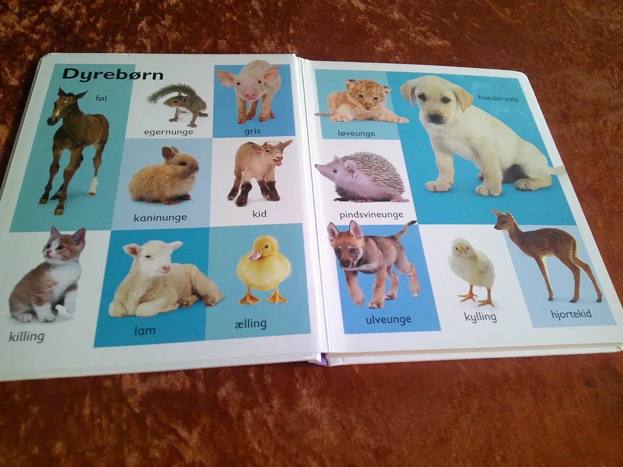 Billede 2 - 101 første ord, Lars Thomas,