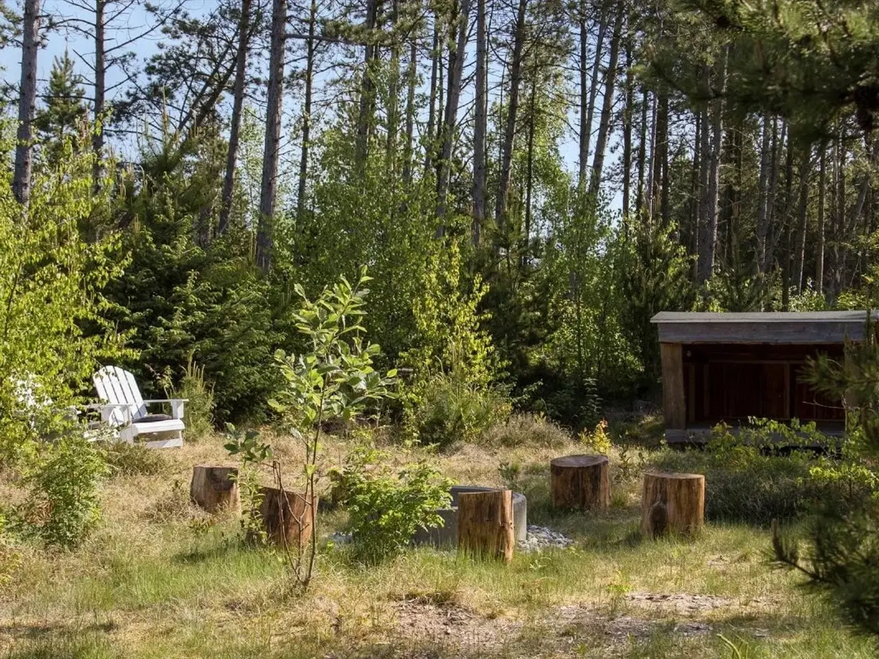 Billede 4 - Sk�nt Kalmar hus i fantastisk natur p� R�m� - midt i Nationalark Vadehavet.