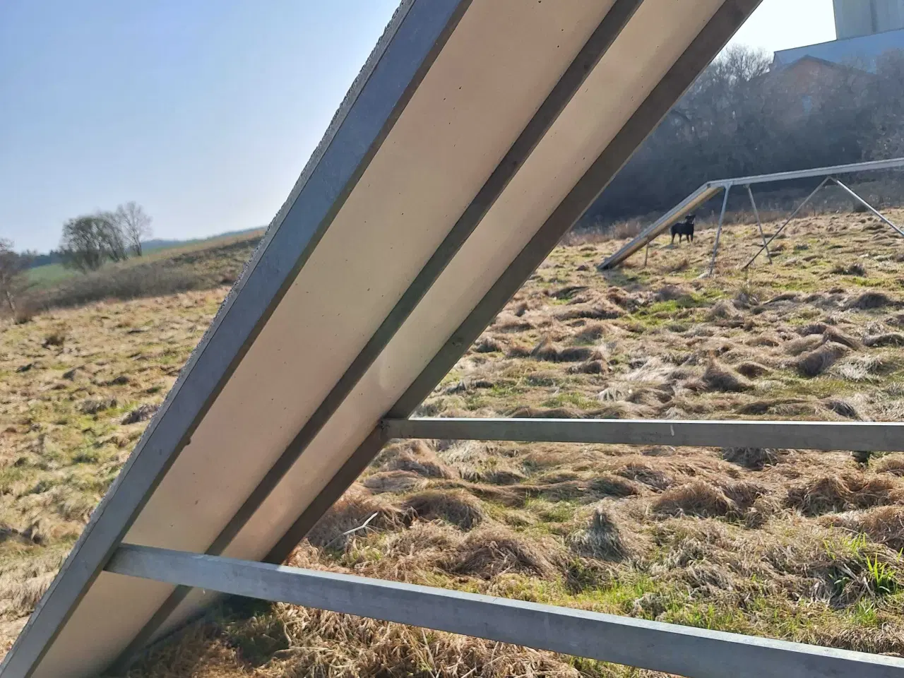 Billede 9 - Agility forhindringer 