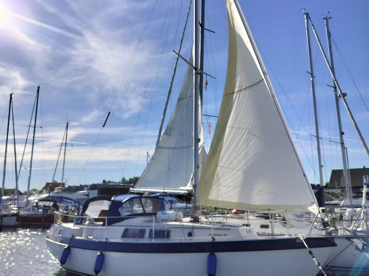 Billede 3 - Motor sejler med stor agter kahyt. Compass 31.