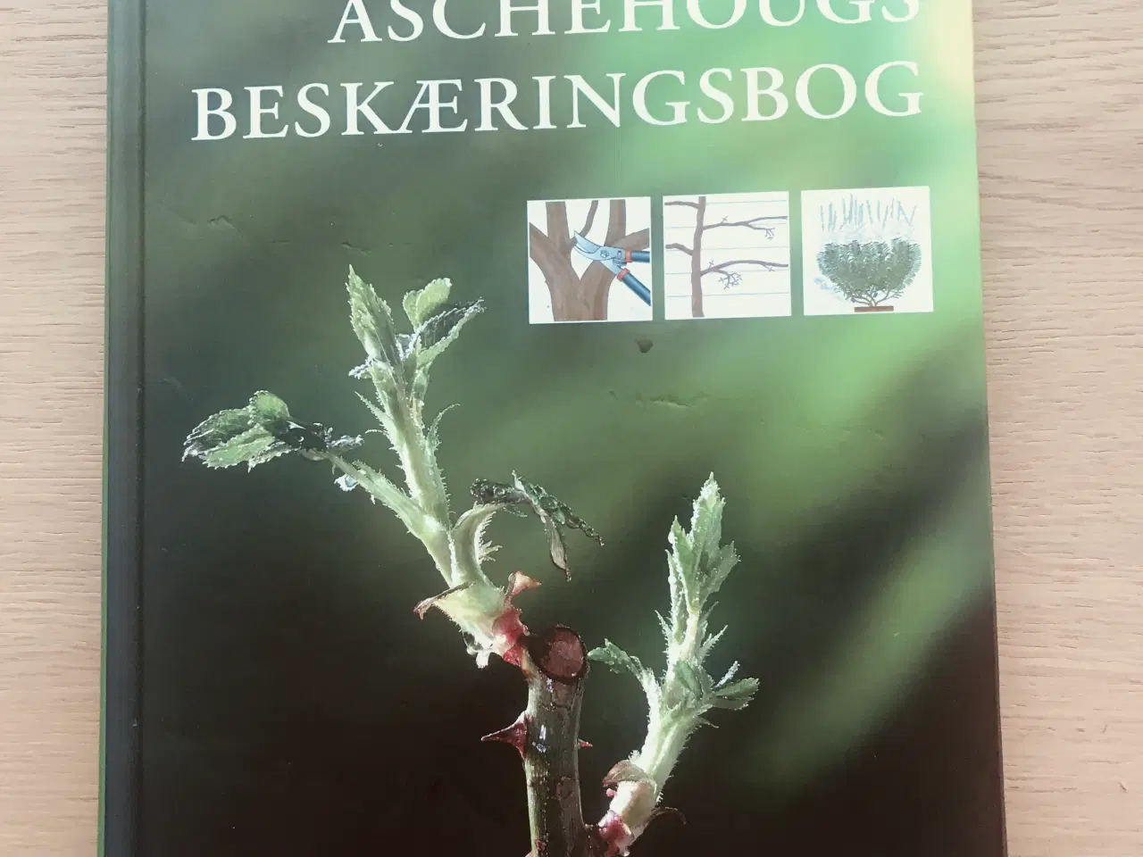 Billede 1 - Aschehougs Beskæringsbog -  Steve Bradley