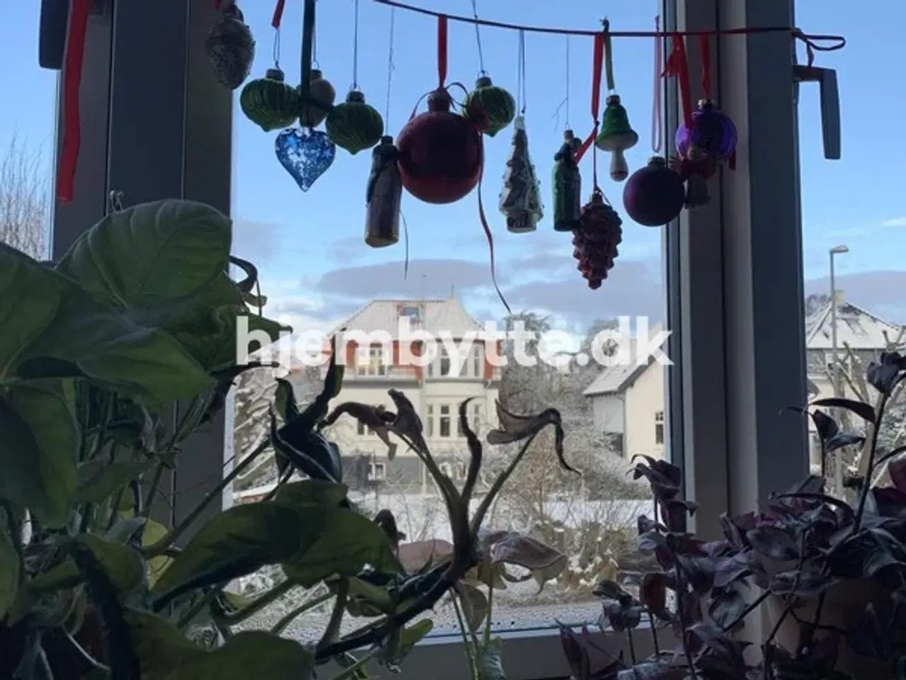 Billede 7 - Hjembytte - Åbyvej