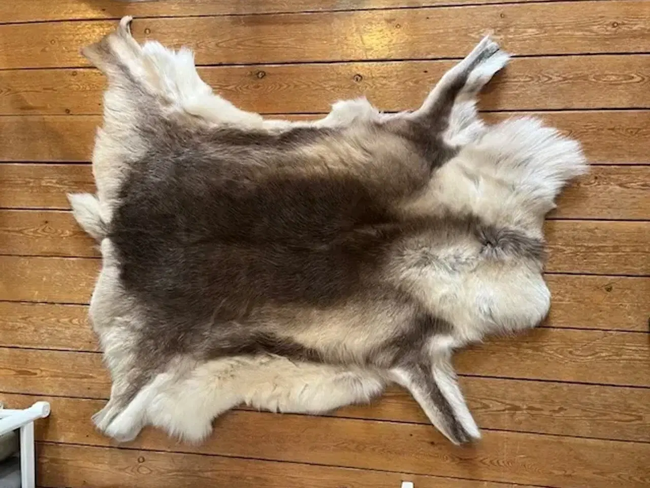 Billede 6 - Smukt og naturligt rensdyrskind – 110 x 110 cm