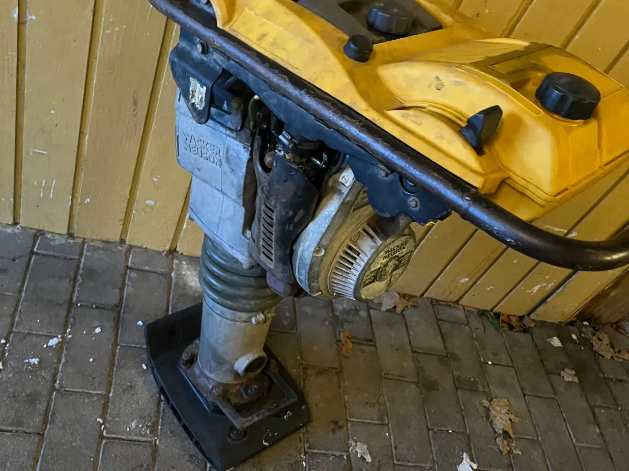 Billede 1 - Jord loppe 