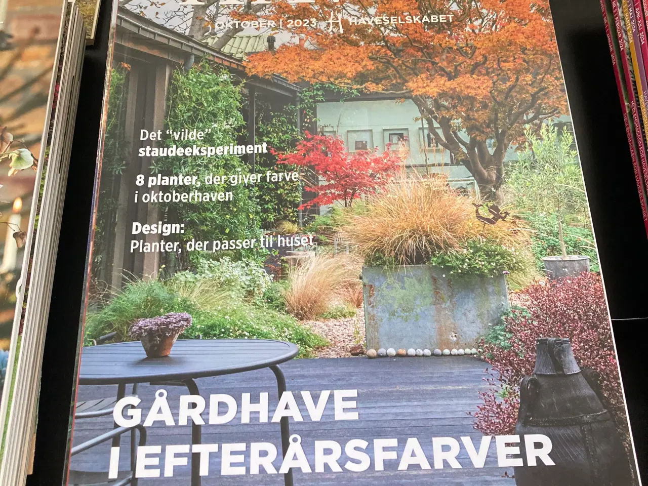 Billede 1 - Haven have blad