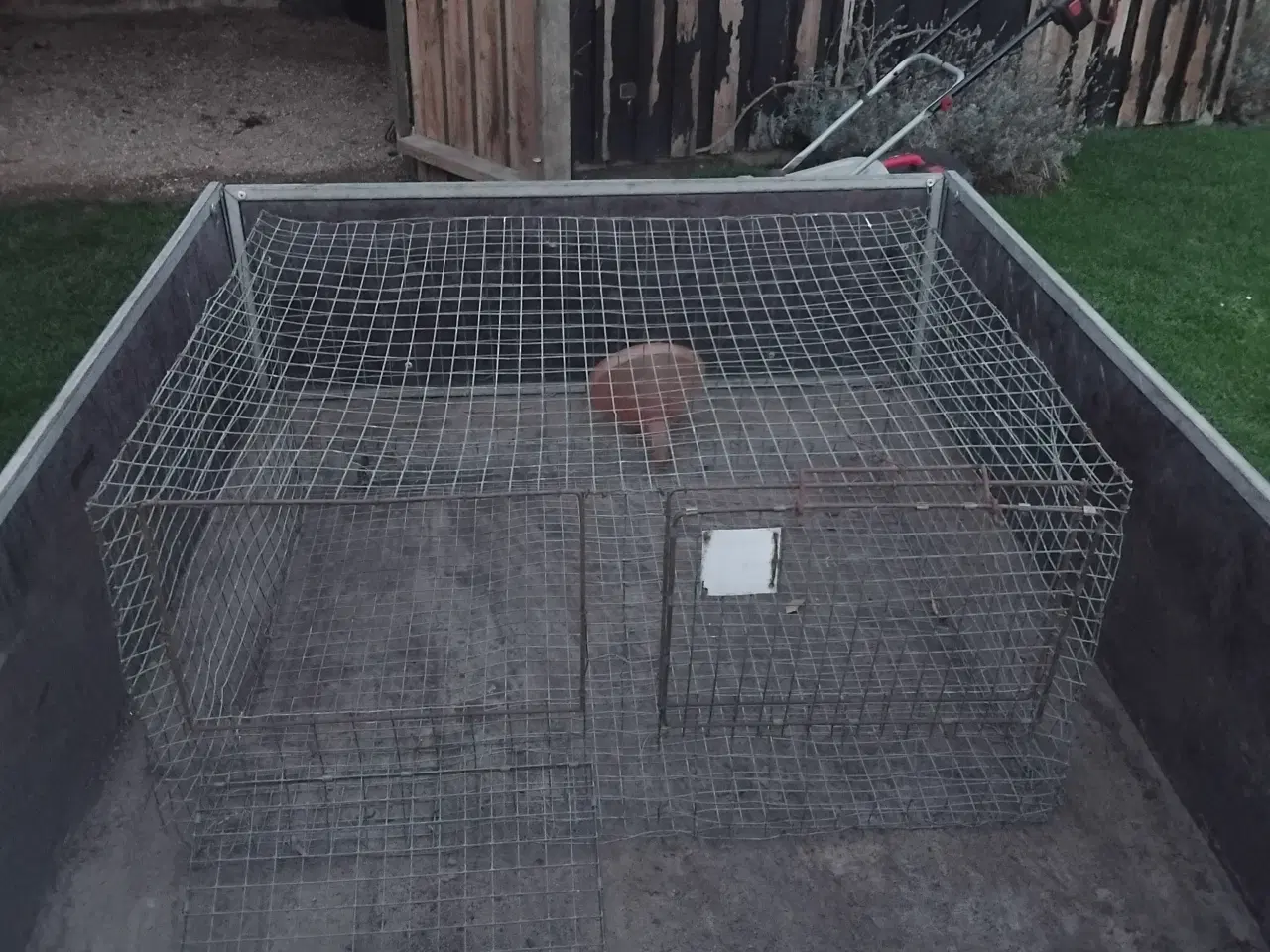 Billede 4 - ståltrådsbur