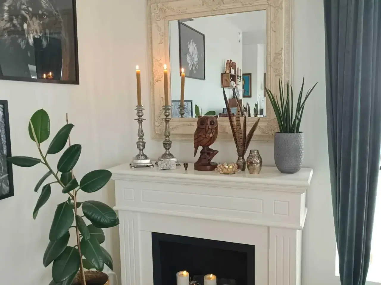 Billede 2 - Smuk biopejse!