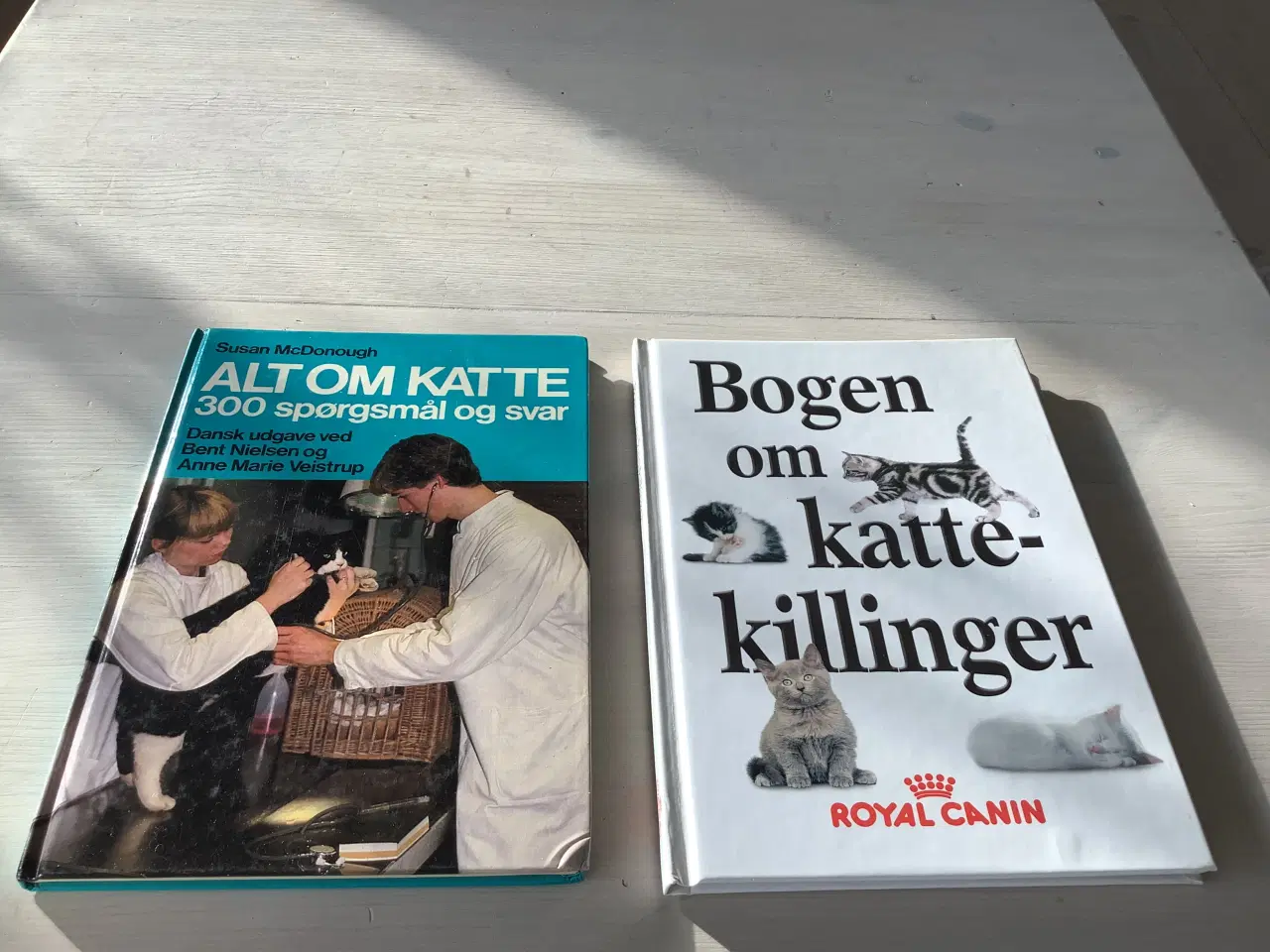 Billede 1 - Bog om Alt om katte og Bog om kattekillinger 