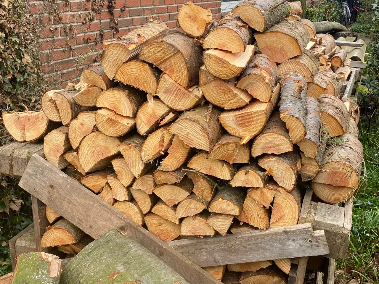 Billede 1 - Brænde  gran