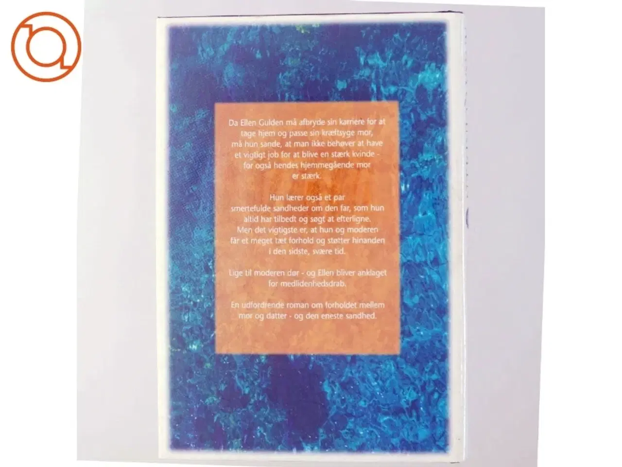 Billede 3 - Anna Quindlen: Den Eneste Sandhed (Bog)