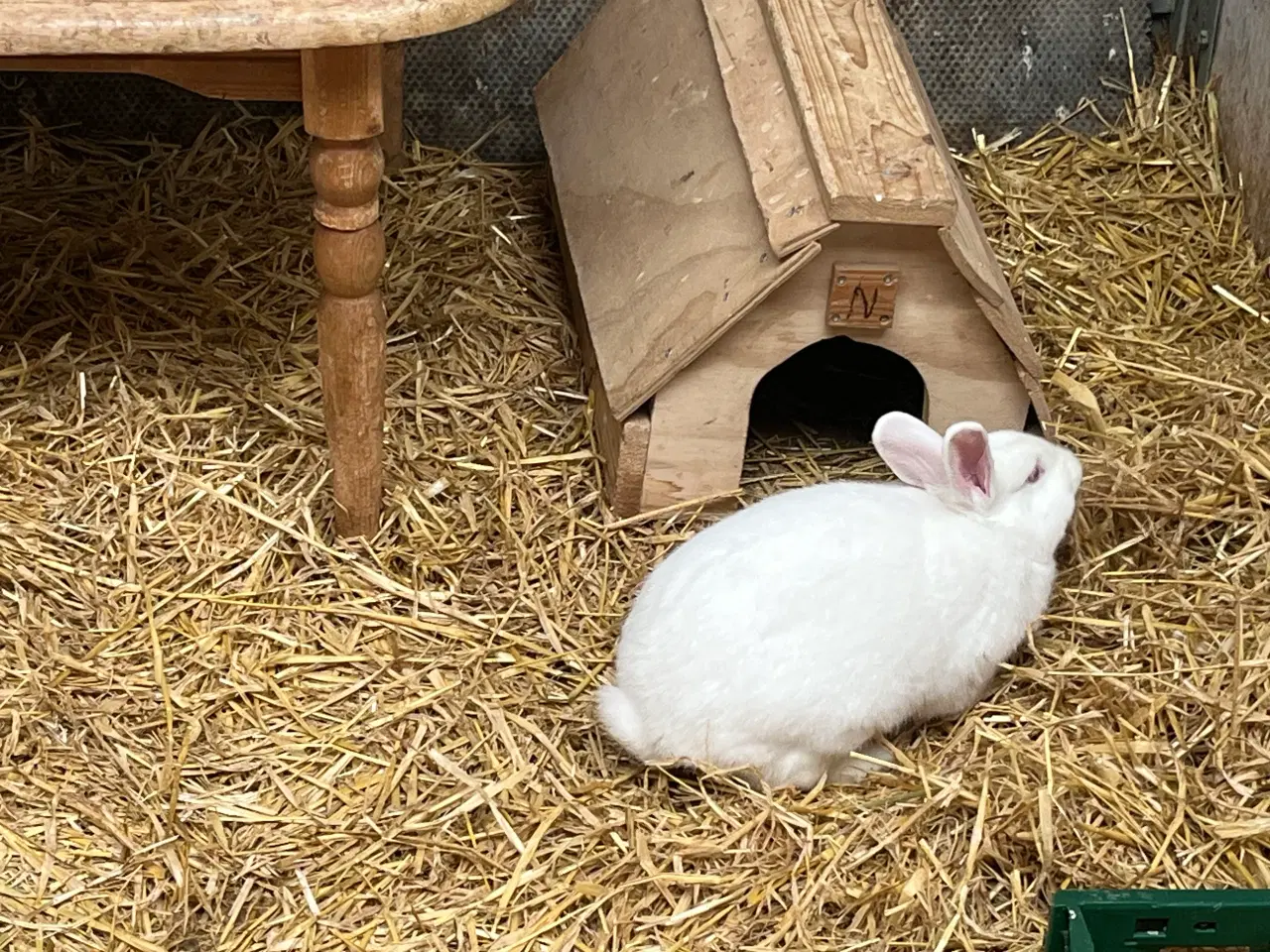 Billede 1 - Hvid land 