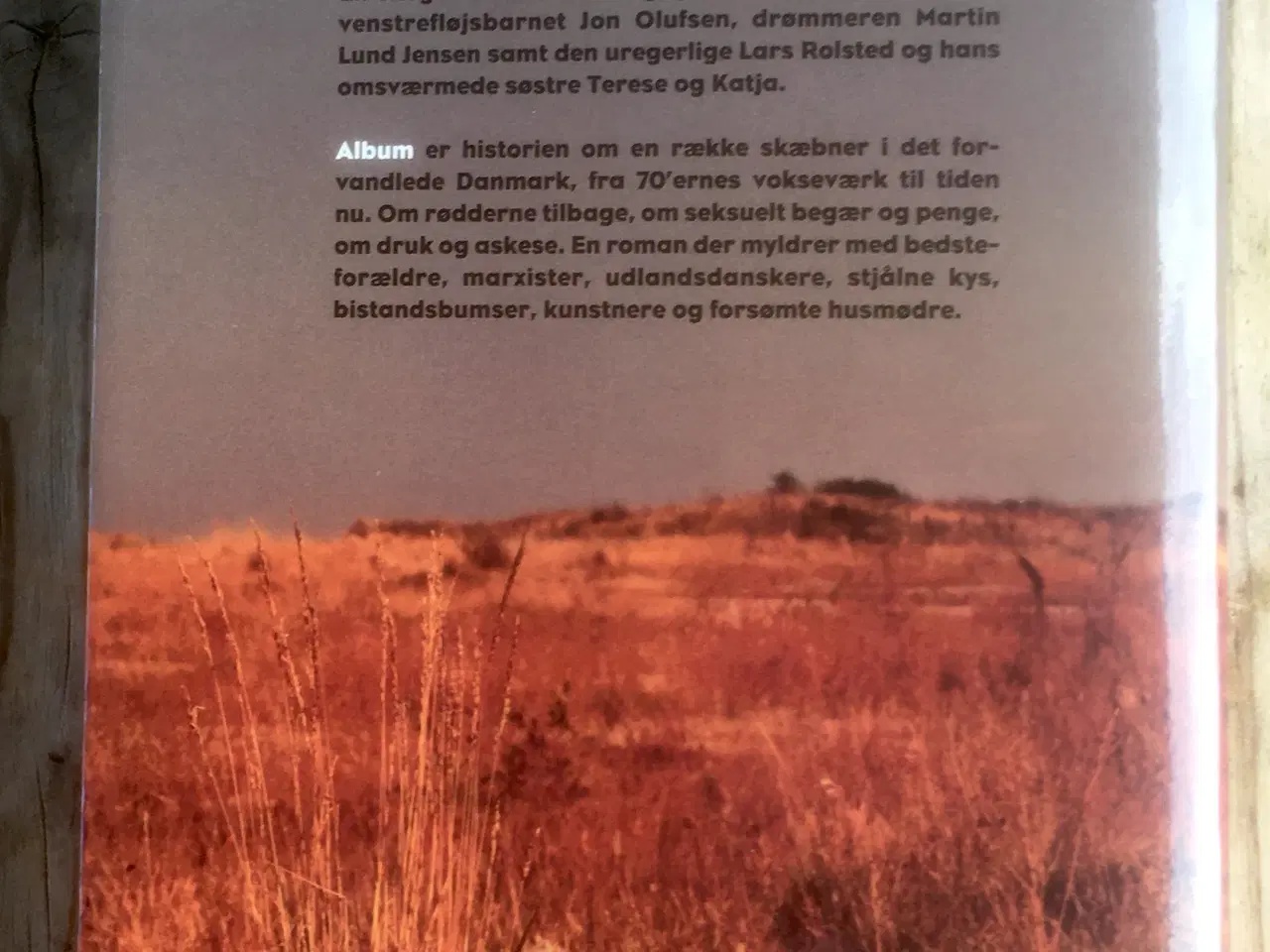 Billede 2 - Album, Benn Q. Holm, genre: drama