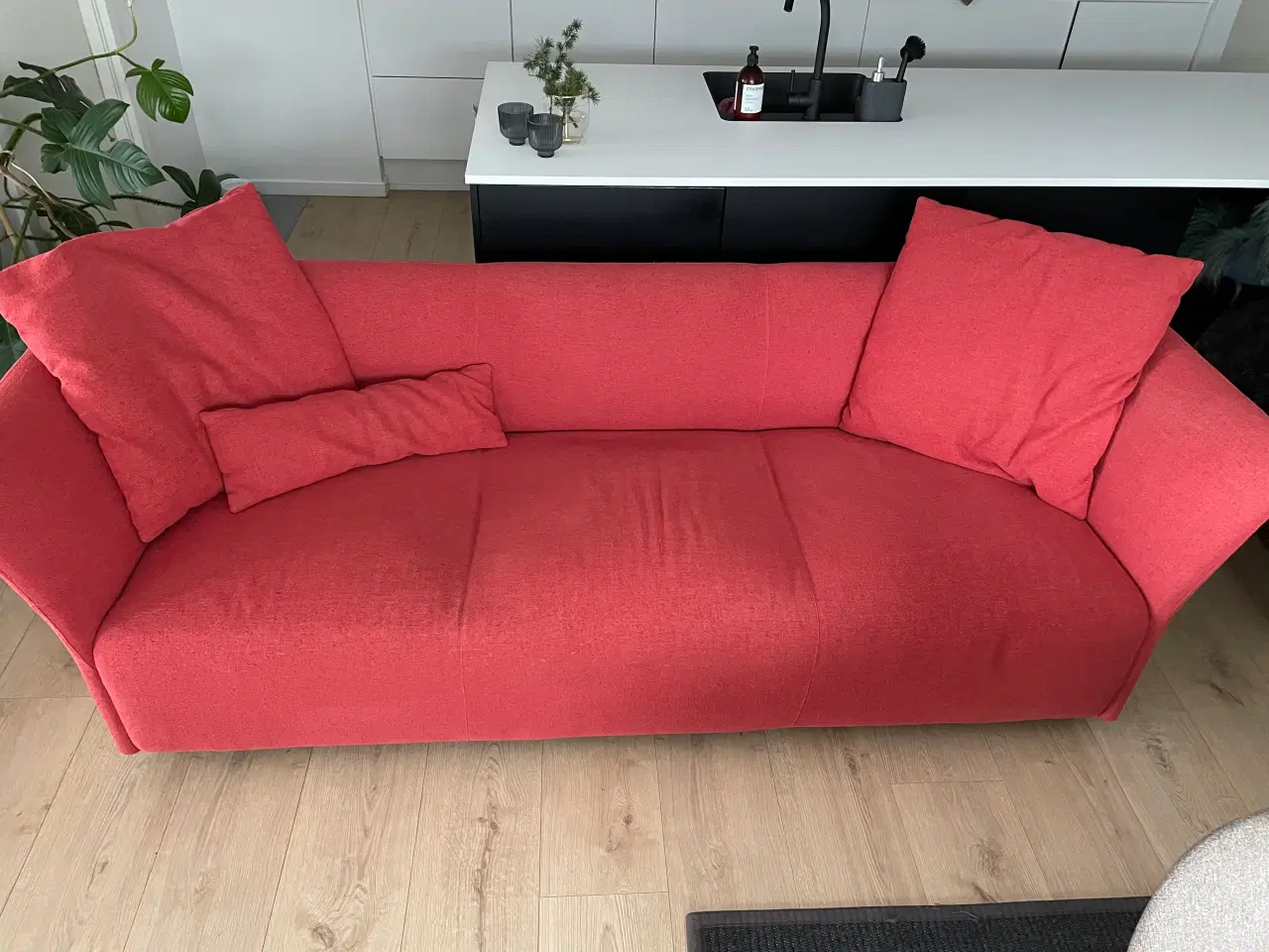 Billede 2 - 3-personers sofa med puder (medfølger)