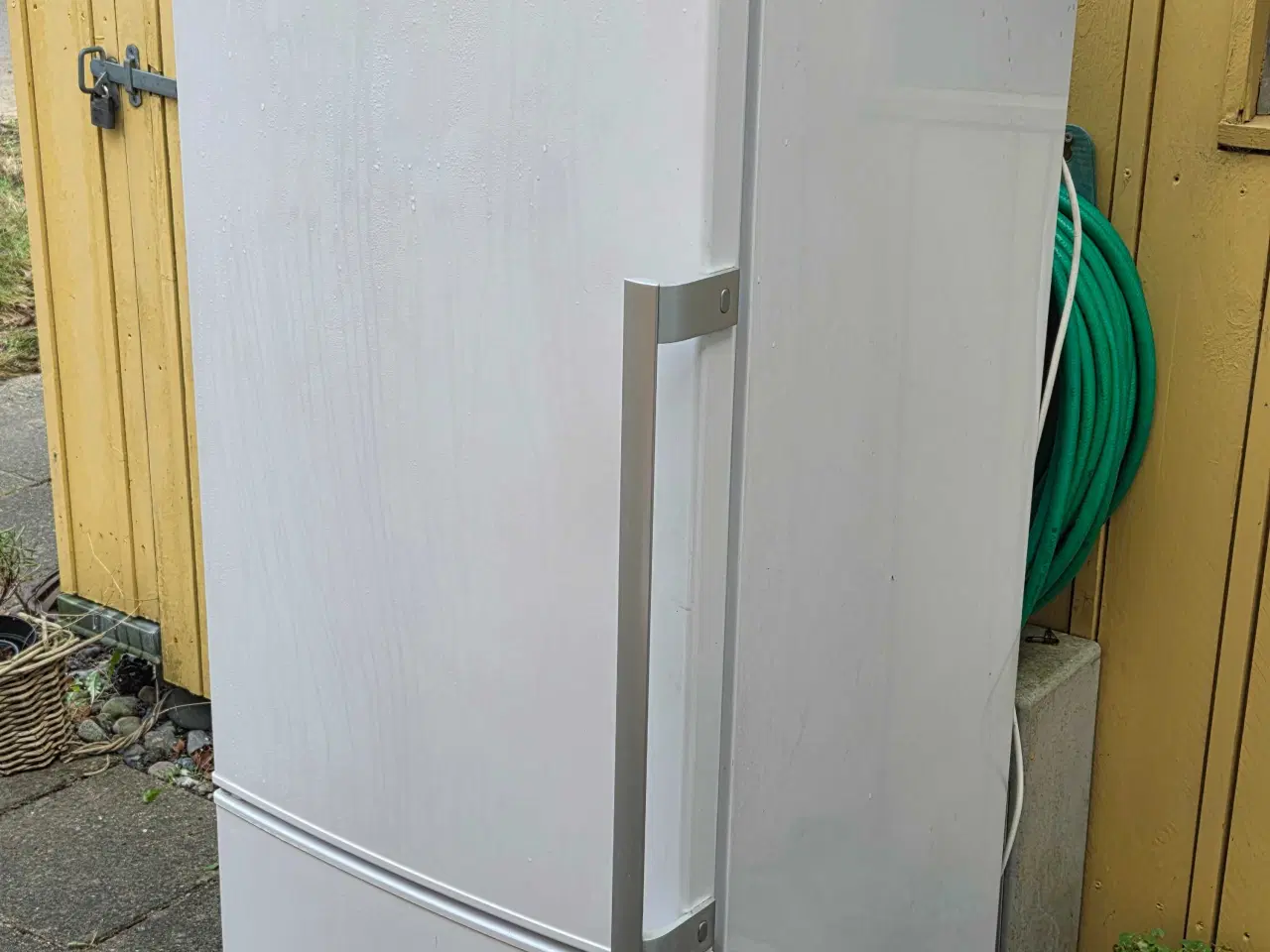 Billede 2 - Blomberg køle/frys, 151,5 x 54