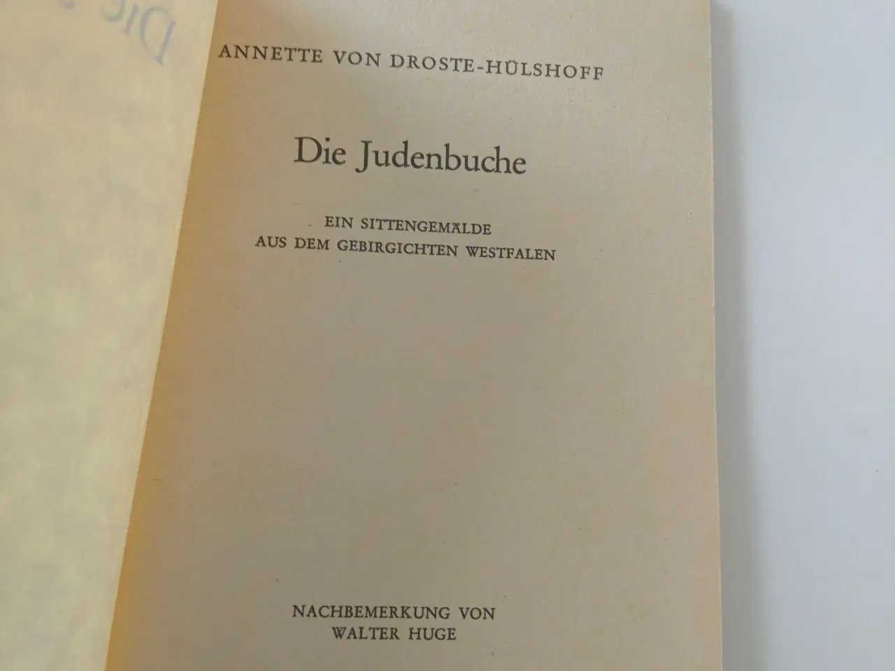 Billede 2 - Die Judenbuche - ein Sittengemälde aus dem Gebirgi