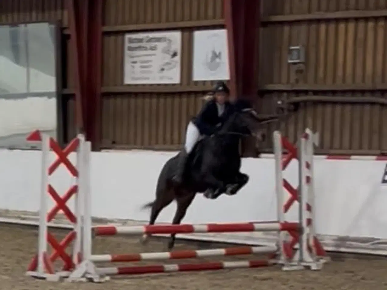 Billede 16 - Allround 2’er pony søger sin nye familie 