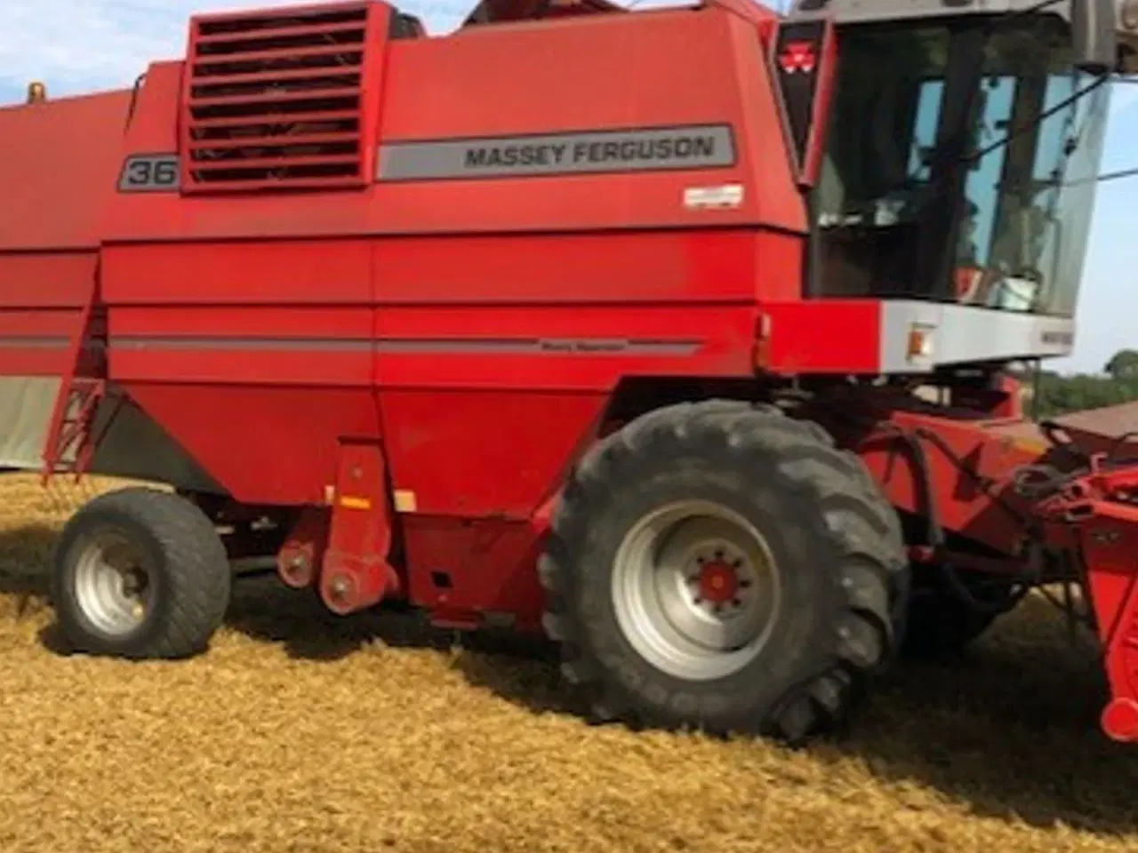 Billede 3 - Massey Ferguson 36 DV2