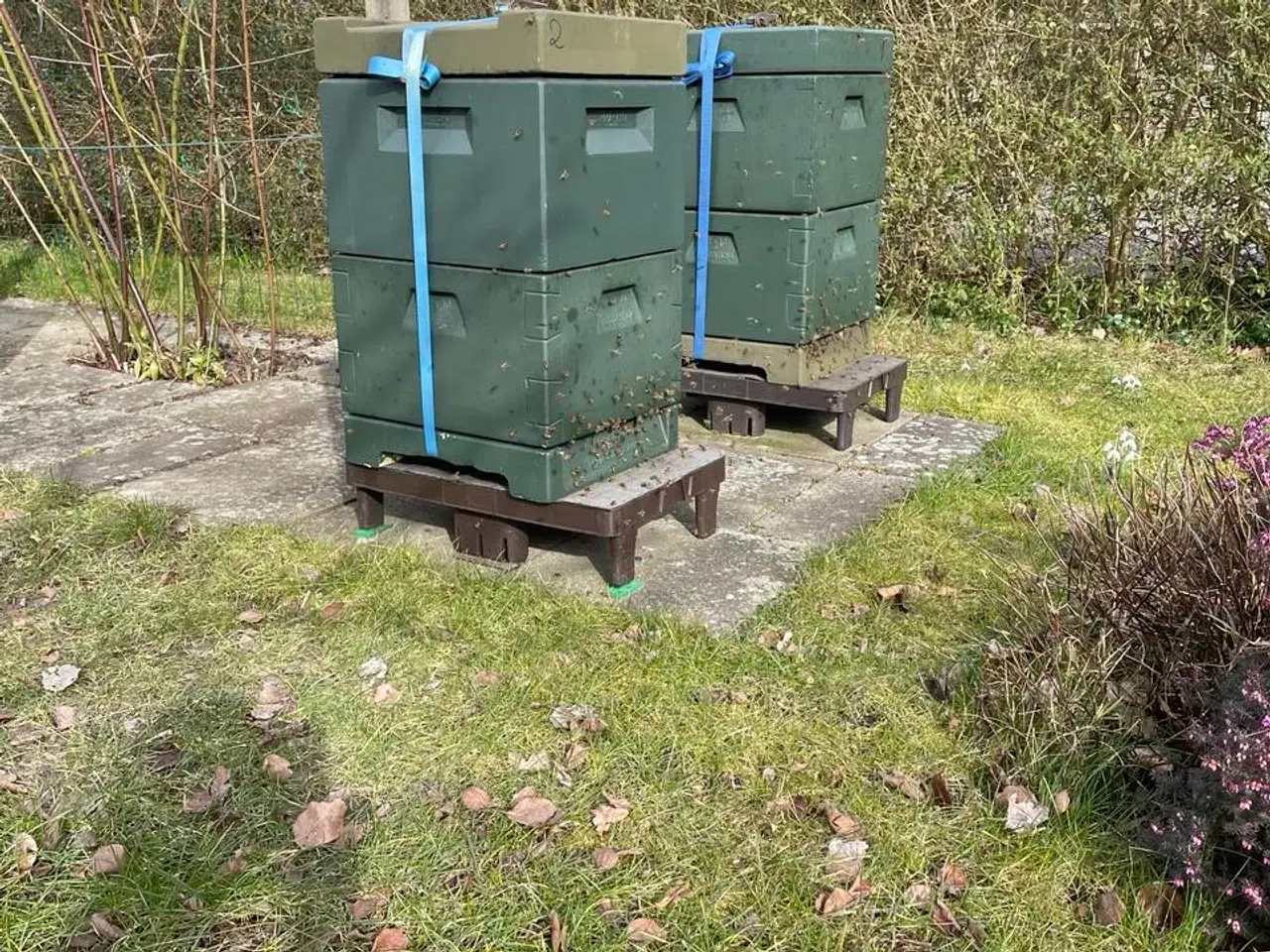 Billede 2 - Bifamilier