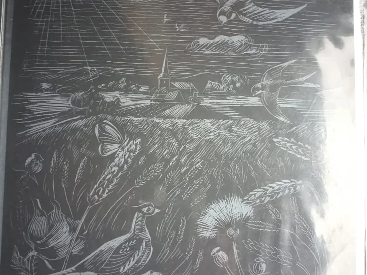 Billede 2 - Skrab billeder