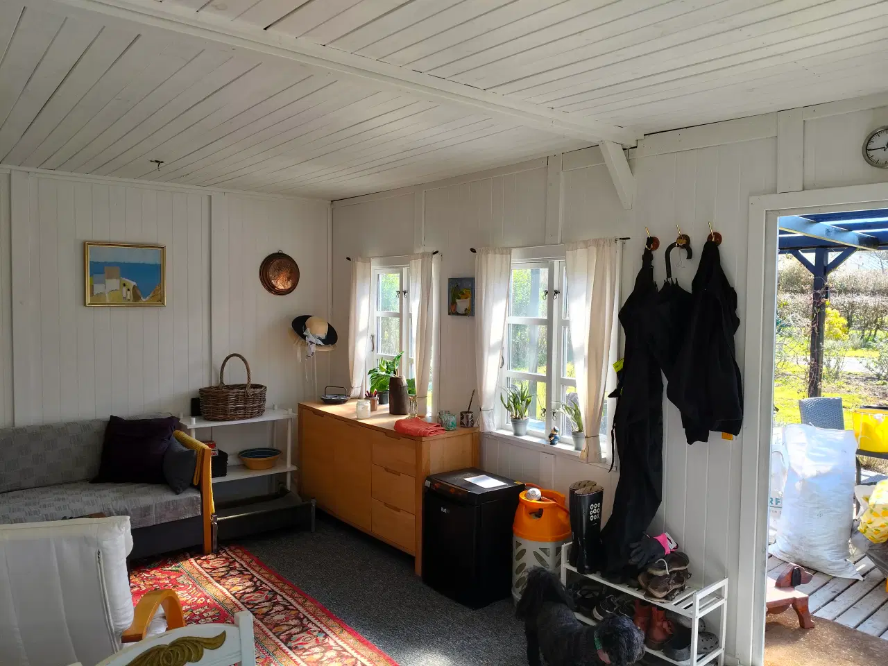 Billede 11 - Dejlig kolonihave