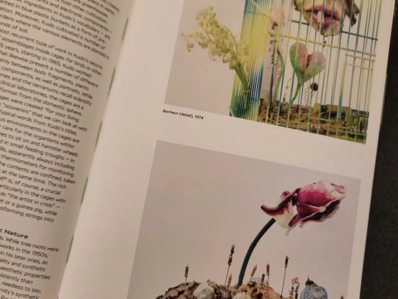 Billede 4 - Tetsumi Kudo: Cultivation