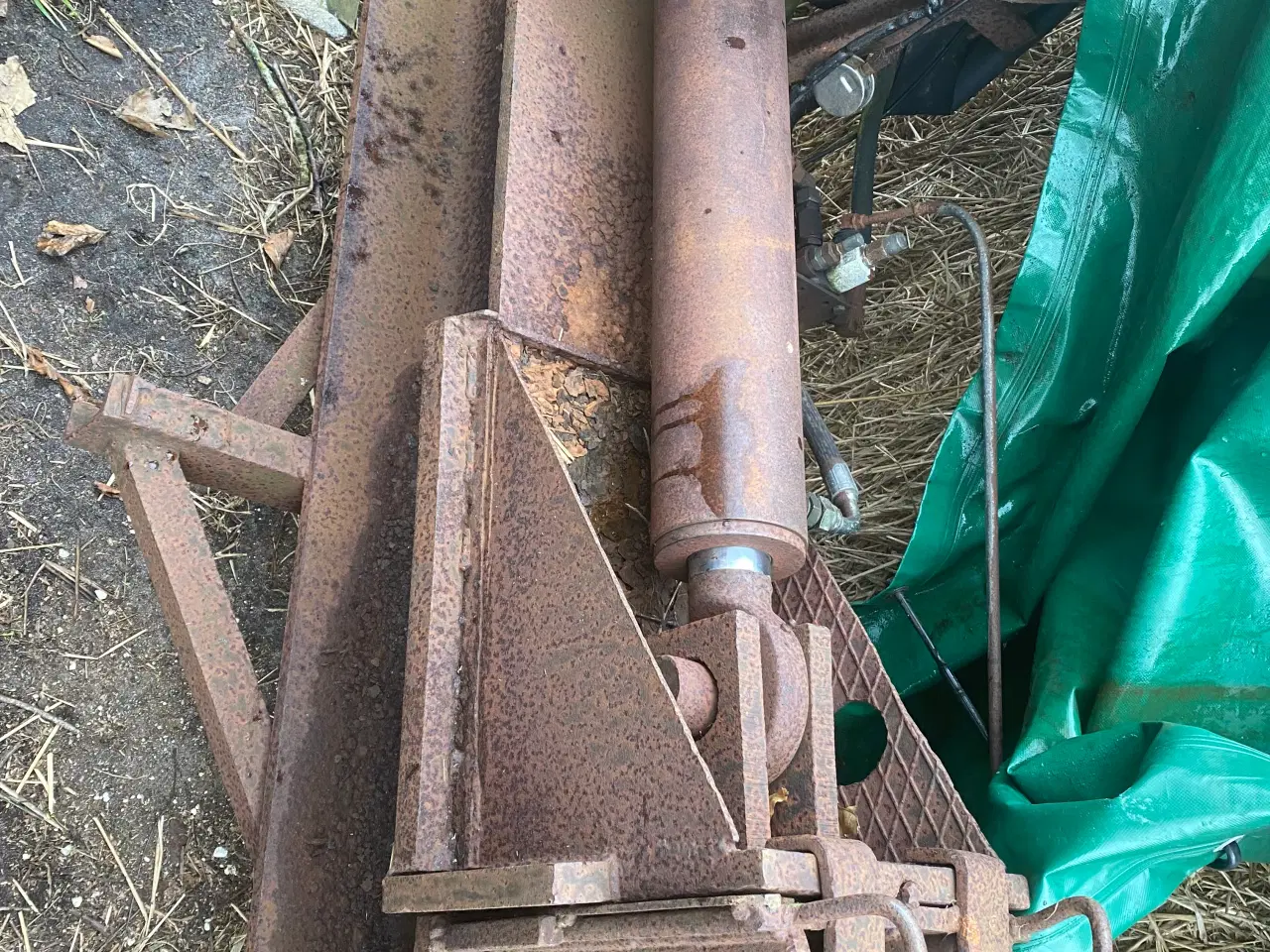 Billede 2 - Trækløver, brændekløver