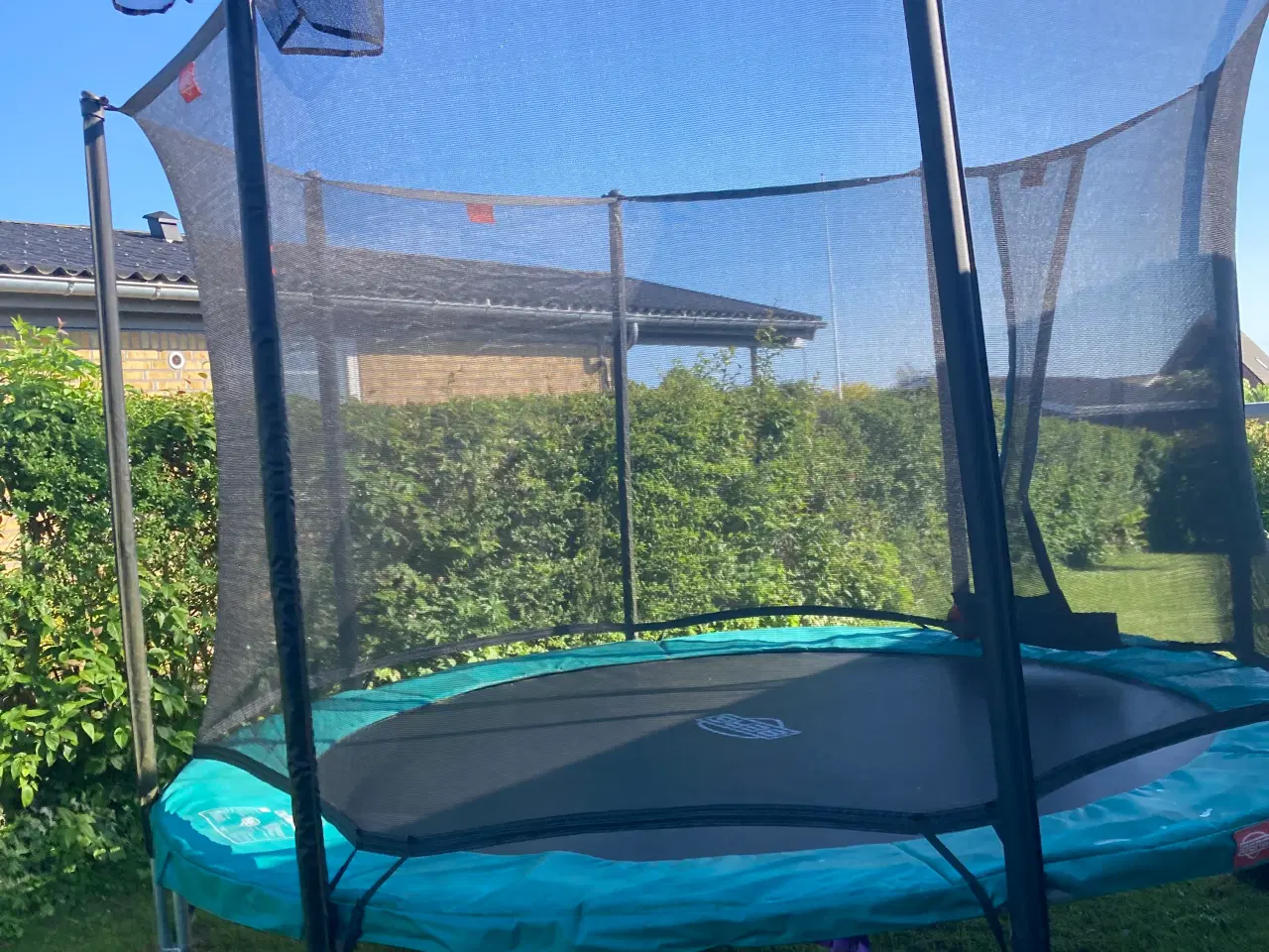 Billede 2 - Bergen trampolin 330 cm
