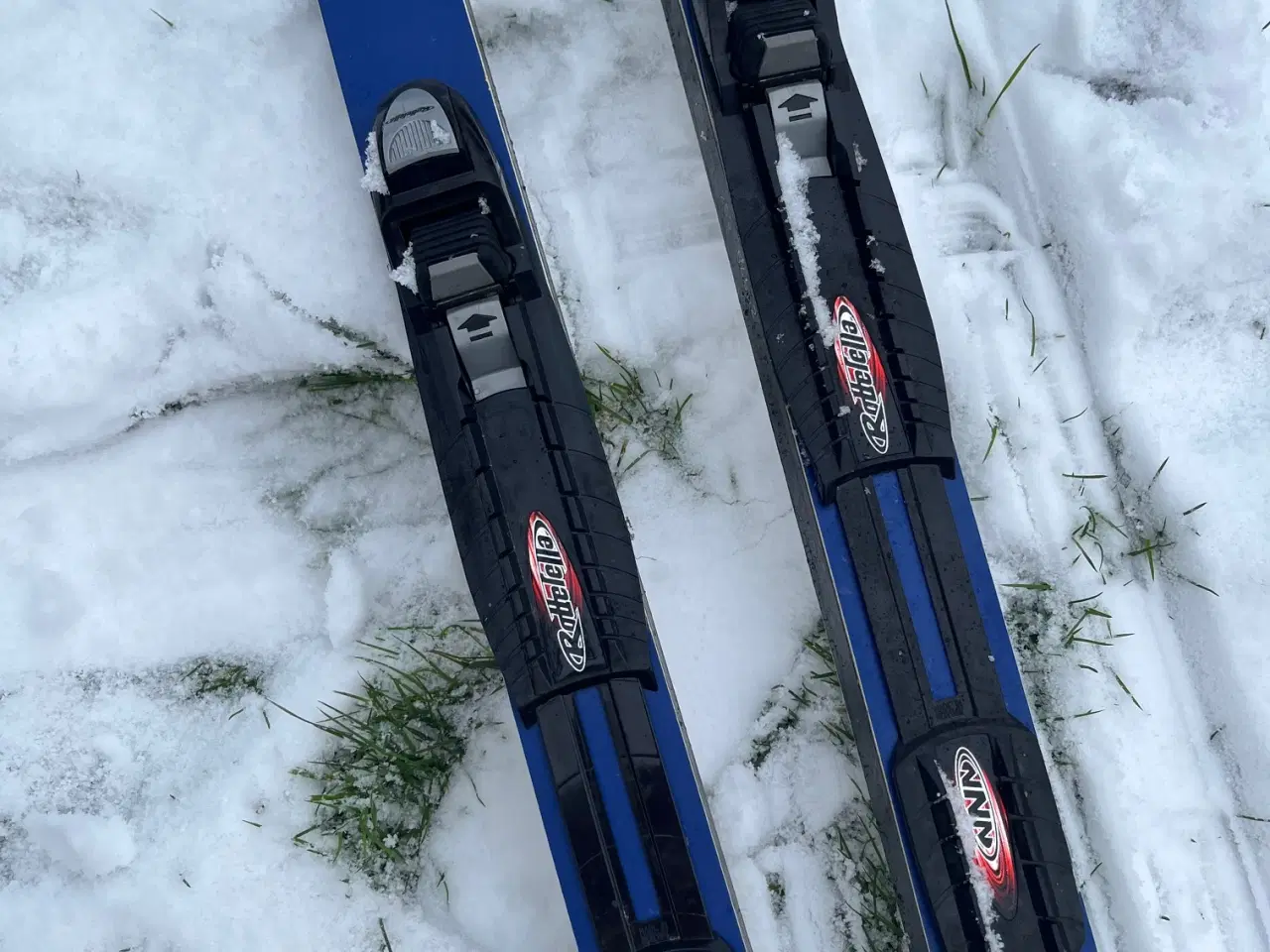 Billede 1 - Langrendsski med stave