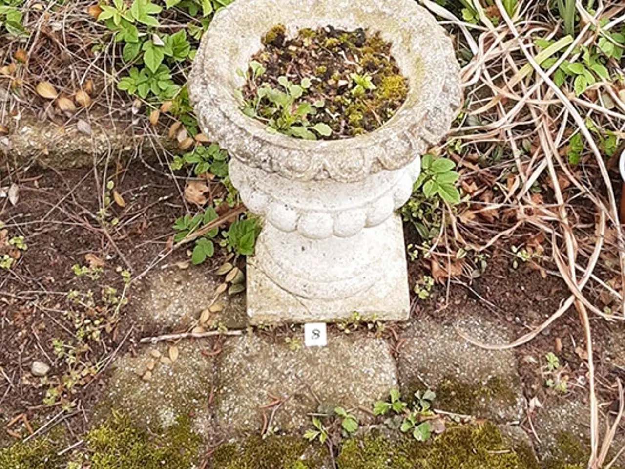 Billede 4 - Havekrukke.