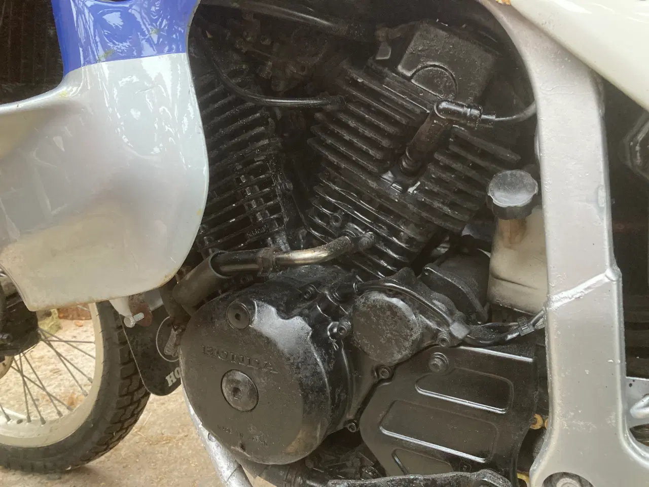 Billede 5 - Honda 600 Transalp 