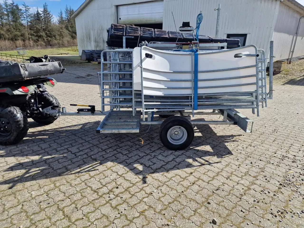 Billede 2 - Fangefolde, vægt, Fårevende på trailer.