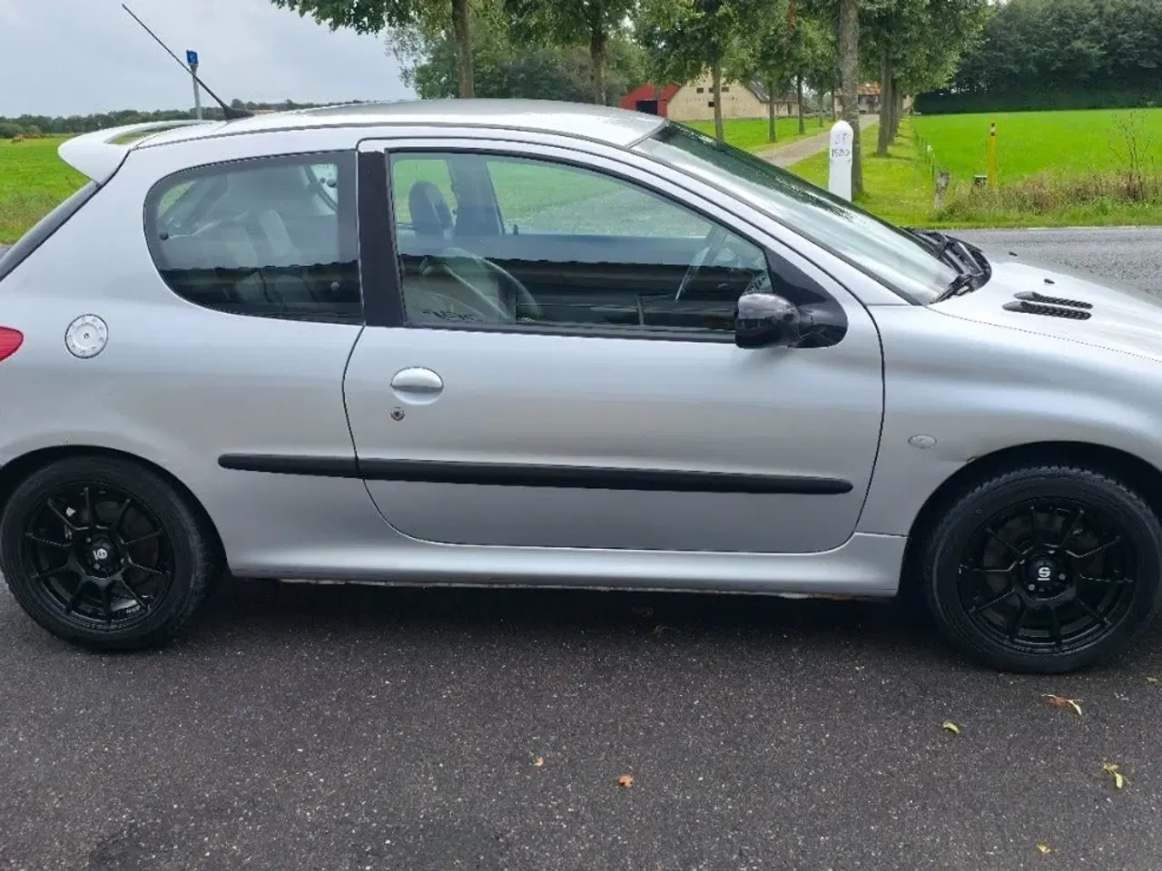 Billede 7 - Peugeot 206 2,0 GTi