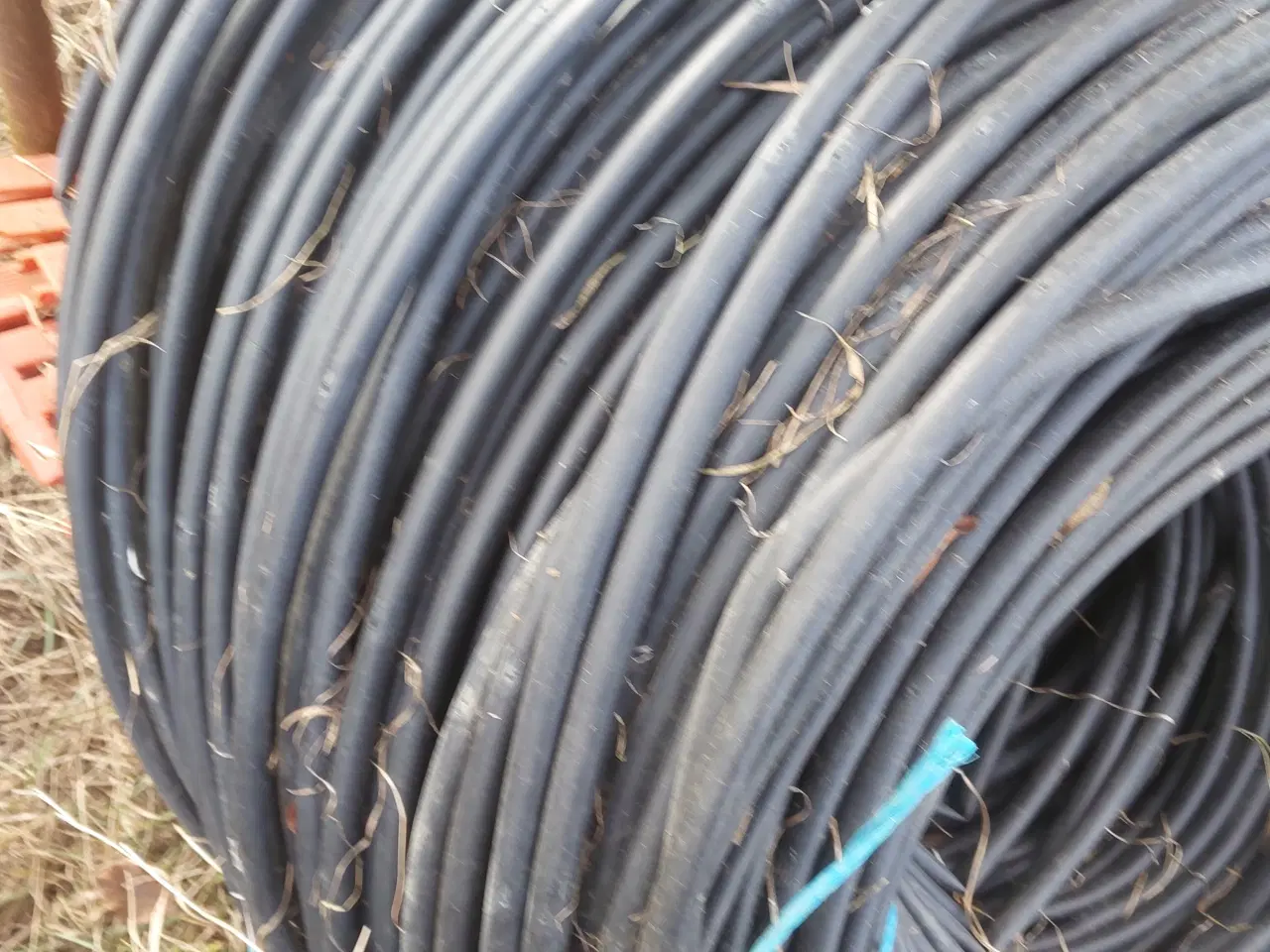 Billede 1 - Drypslanger, sivslanger til vanding