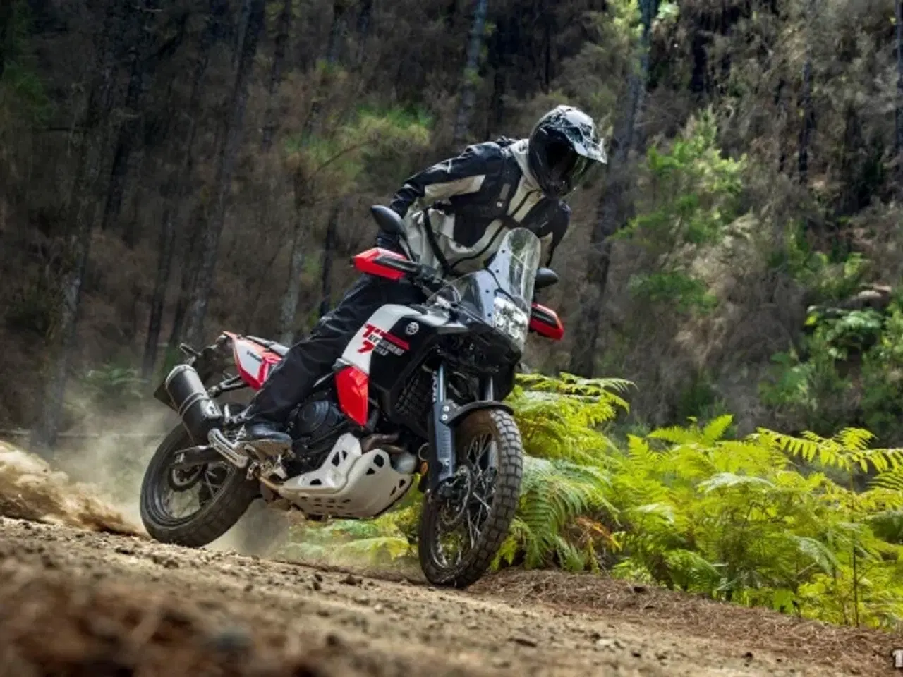 Billede 15 - Yamaha Ténéré 700 World Raid