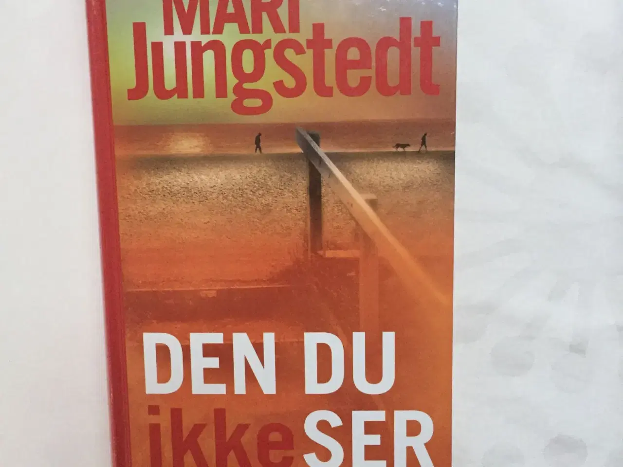 Billede 1 - Den du ikke ser af Mari Jungstedt